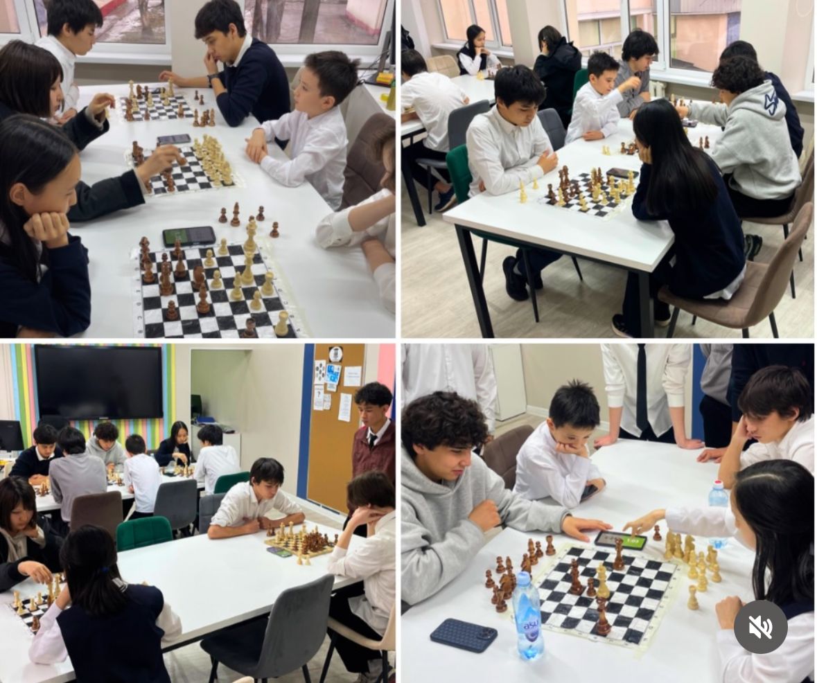 Территория интеллекта: репортаж с шахматного турнира